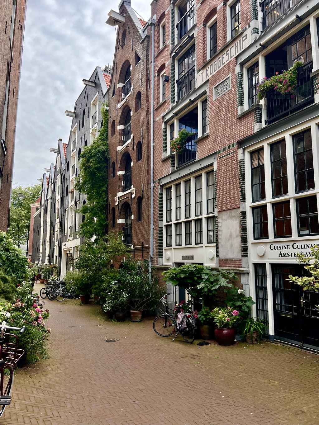 Holland — photo 4