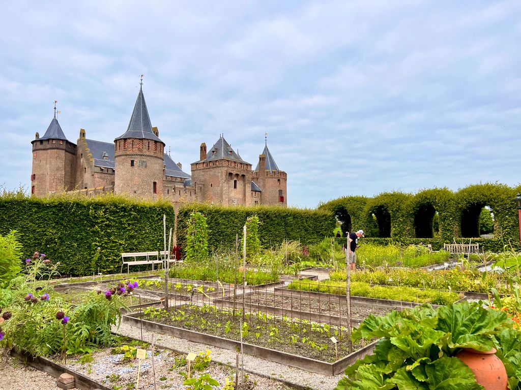 Holland — photo 14
