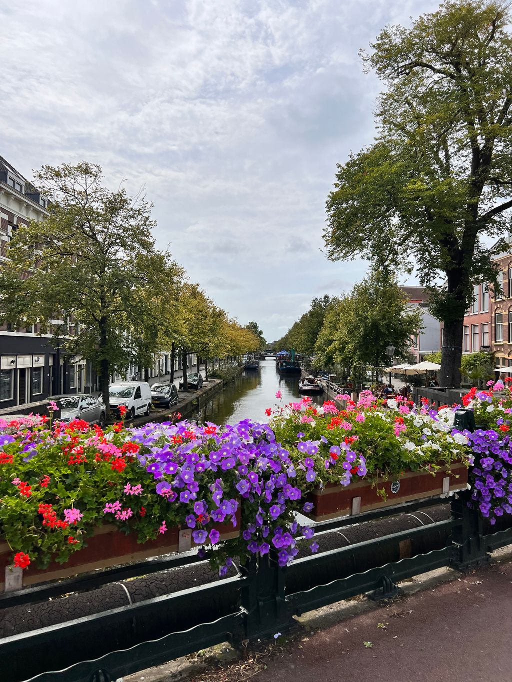 Holland — photo 49