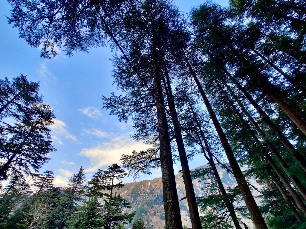 Manali — photo 10