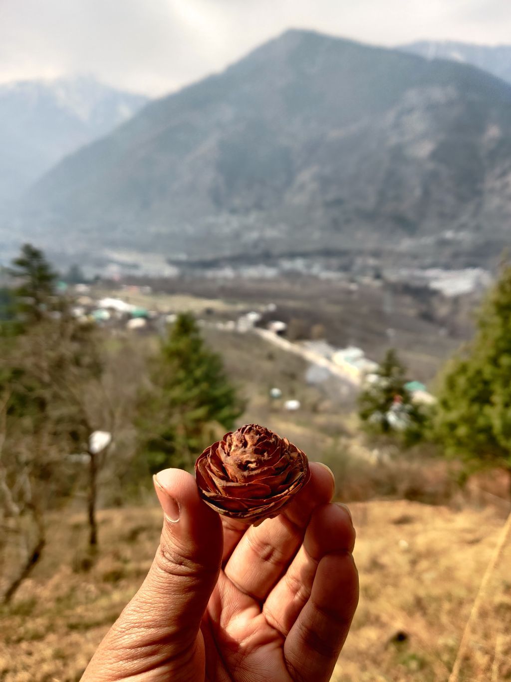 Manali — photo 13