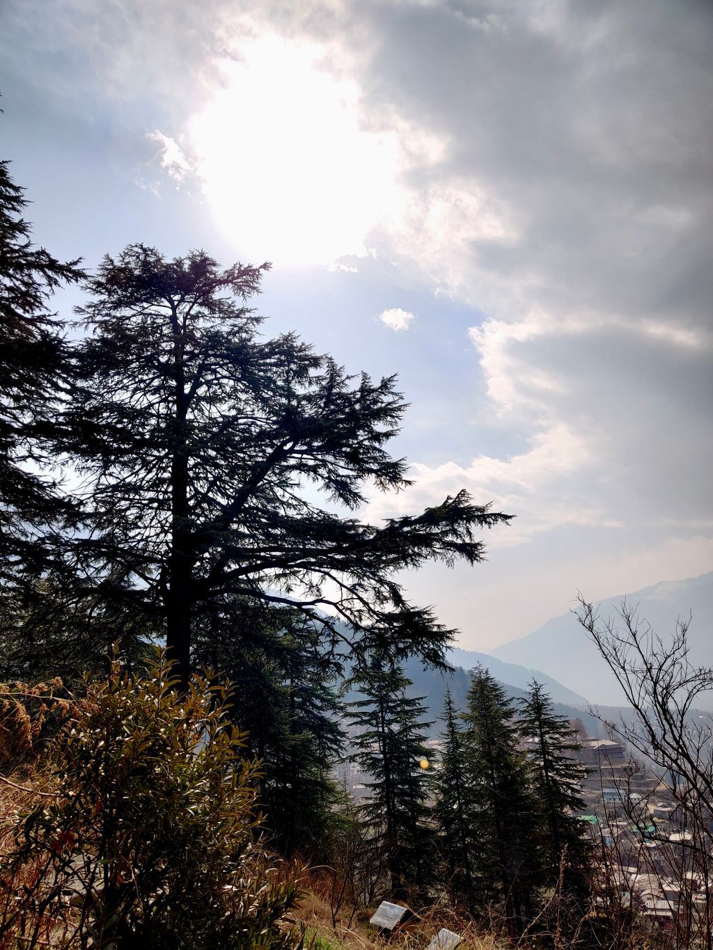 Manali — photo 14
