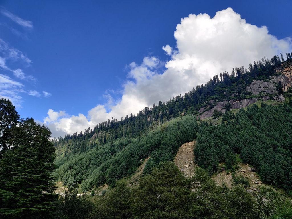 Manali — photo 16
