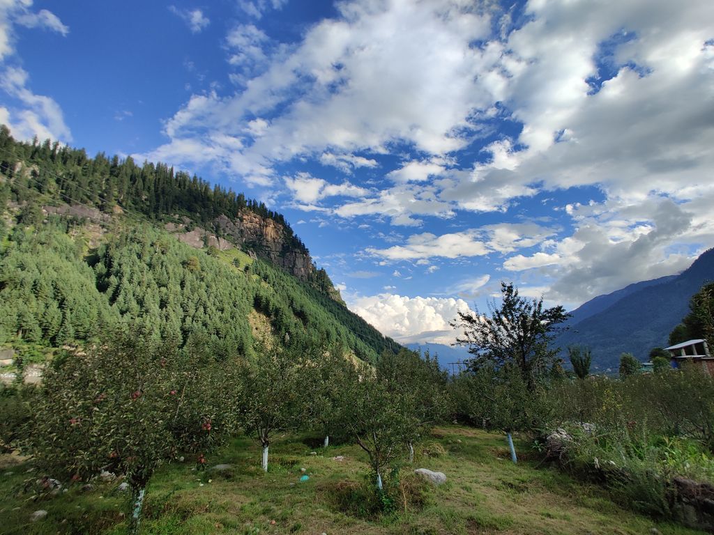 Manali — photo 17