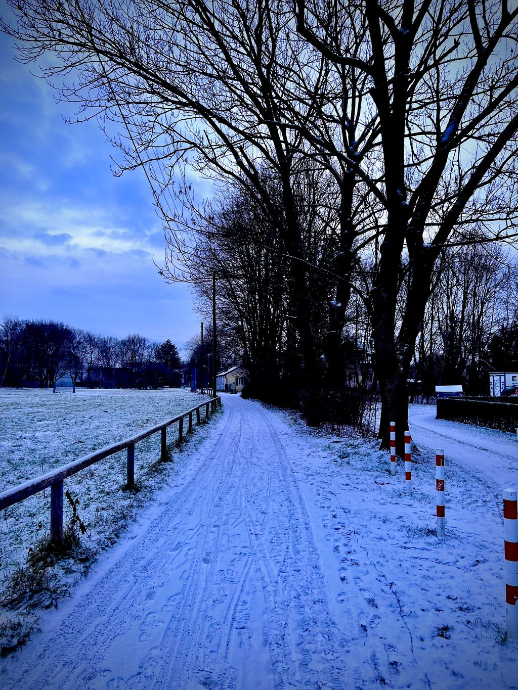Munich — photo 22