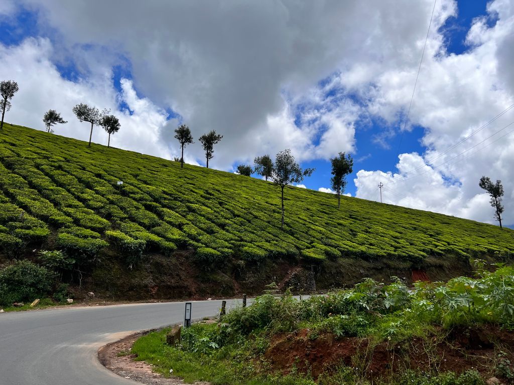 Munnar — photo 6