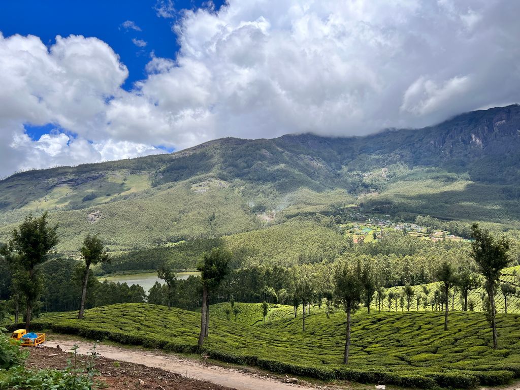 Munnar — photo 10