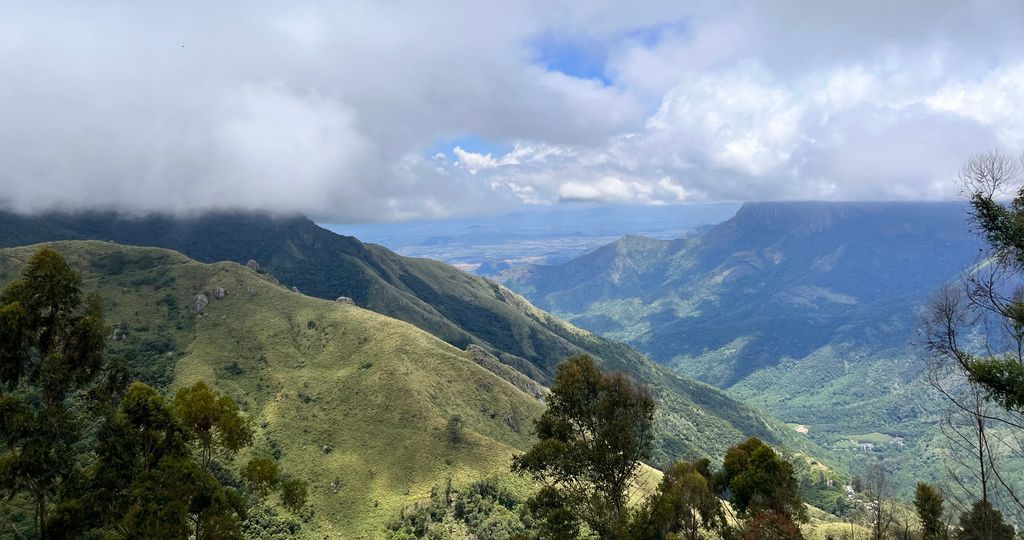 Munnar — photo 15