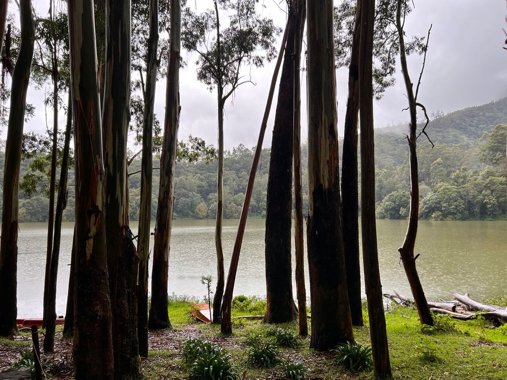 Munnar — photo 18