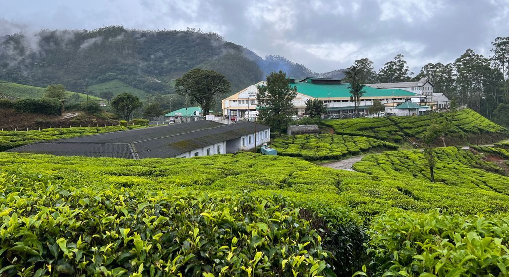 Munnar — photo 21
