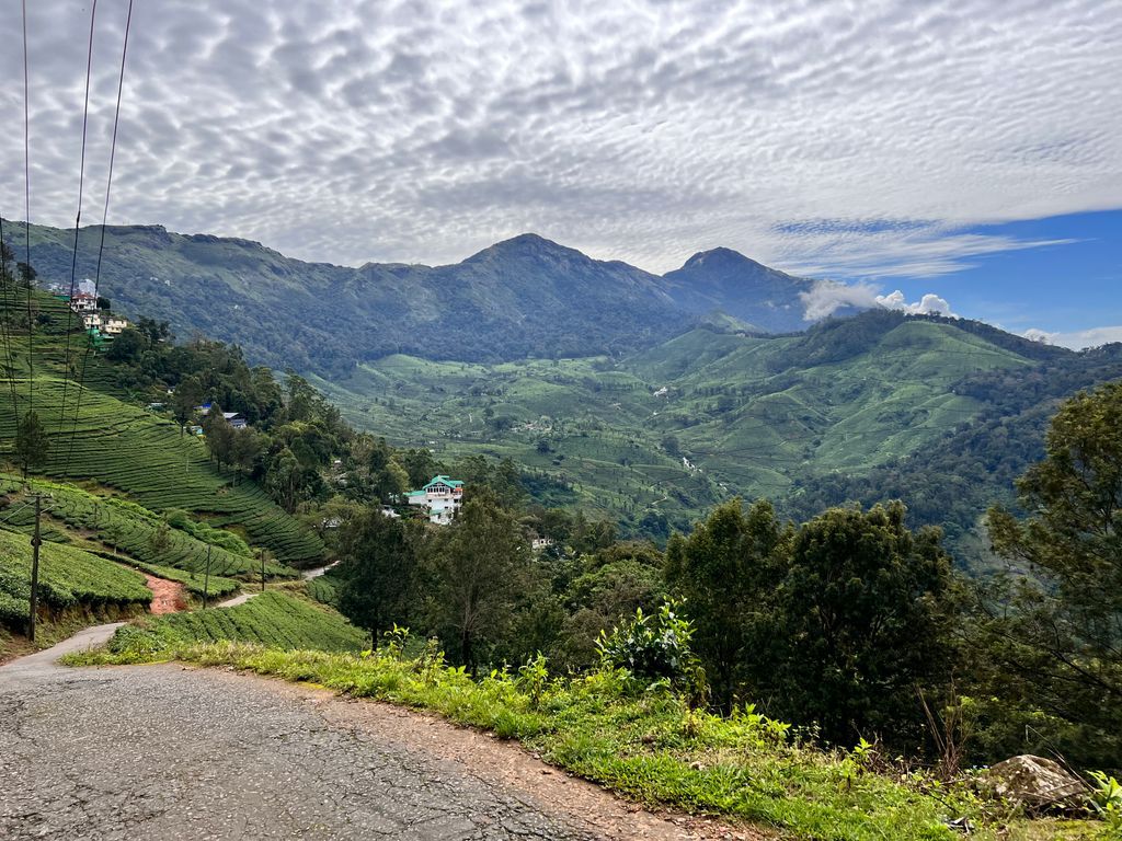 Munnar — photo 28