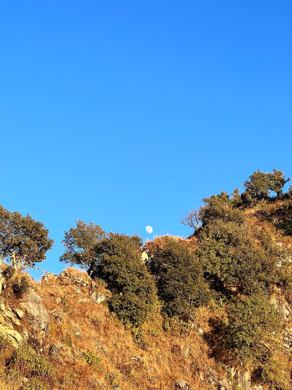 Mussoorie — photo 13