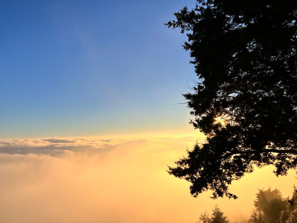 Mussoorie — photo 11