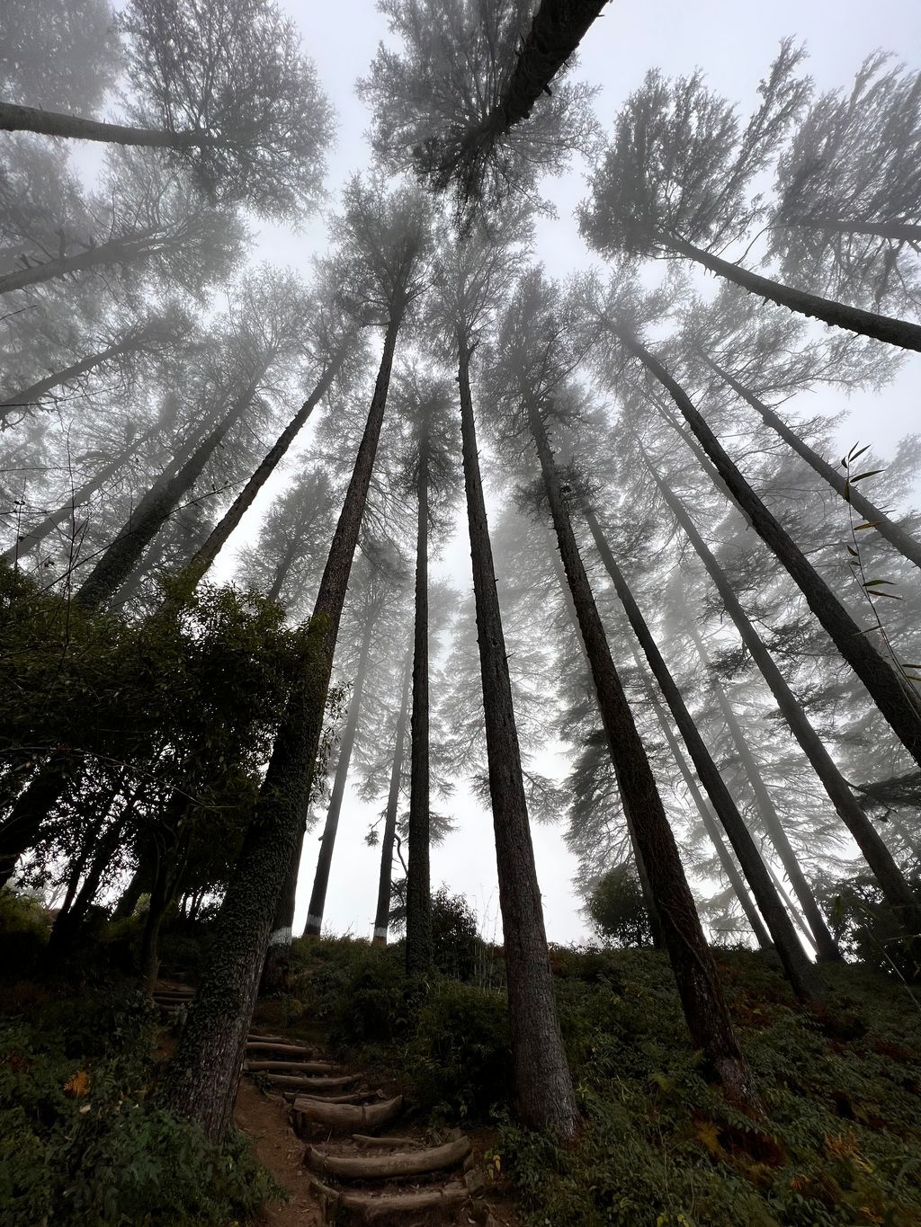 Mussoorie — photo 2