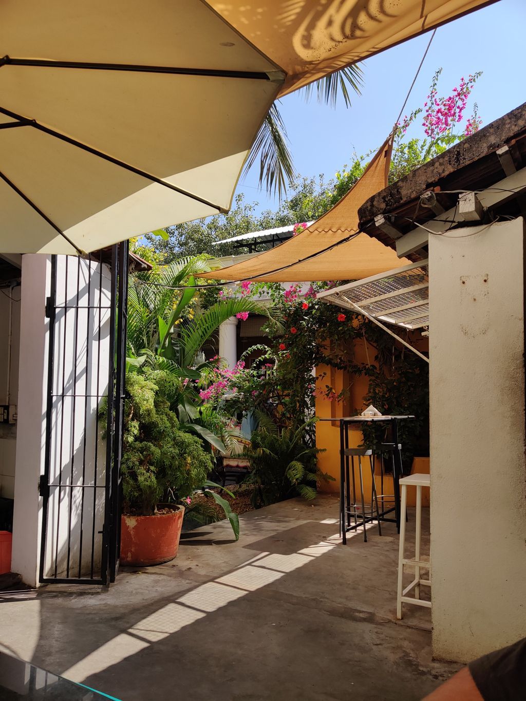 Pondicherry — photo 1