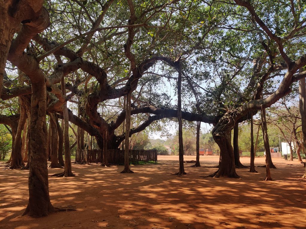 Pondicherry — photo 9