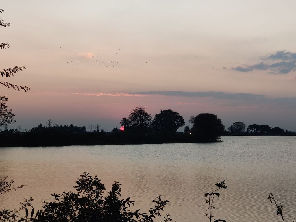 Pondicherry — photo 10