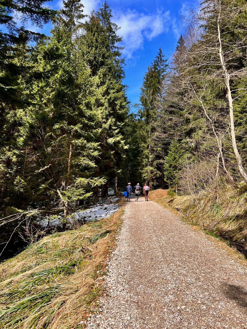 Tegernsee — photo 9