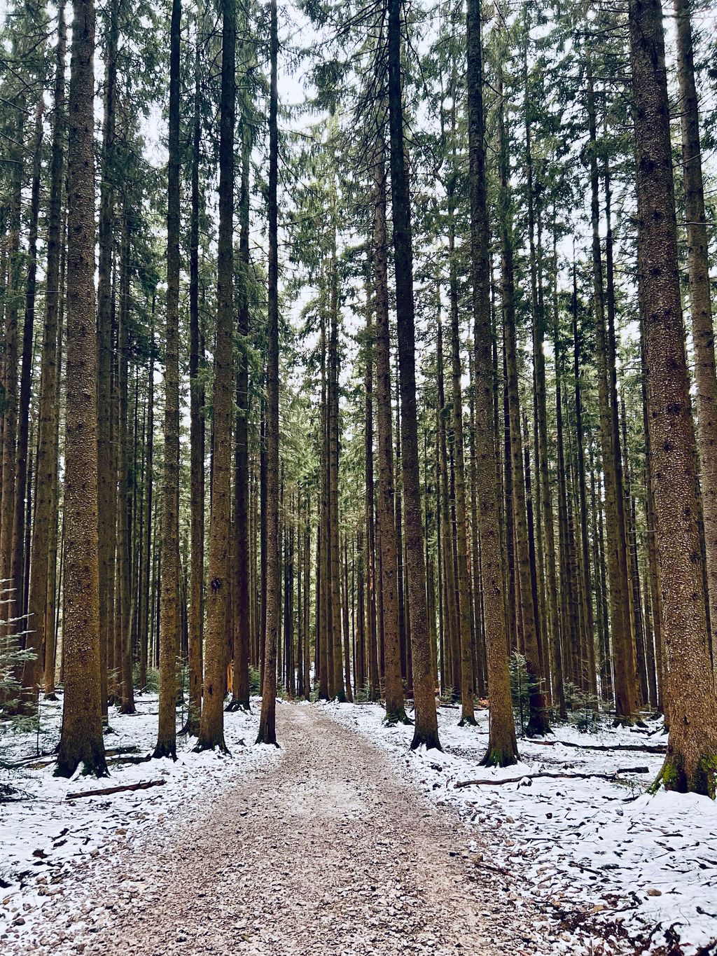 Tegernsee — photo 11