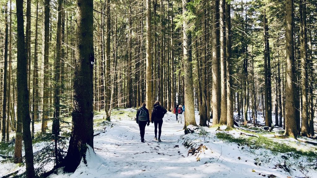 Tegernsee — photo 1