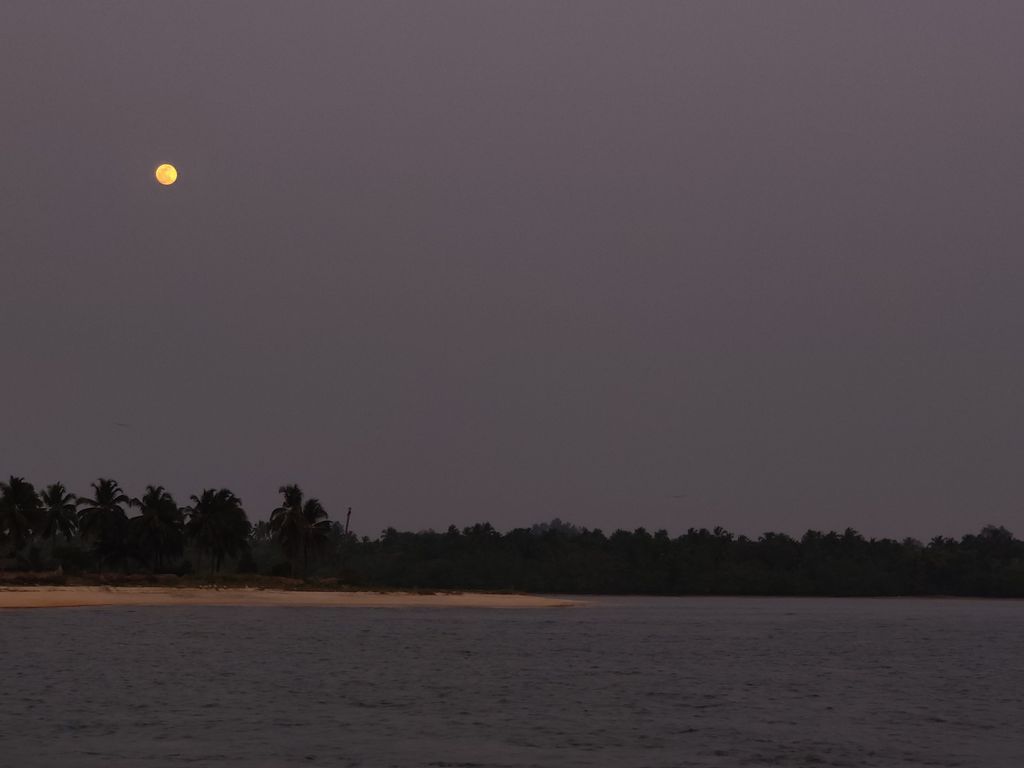 Udupi — photo 5