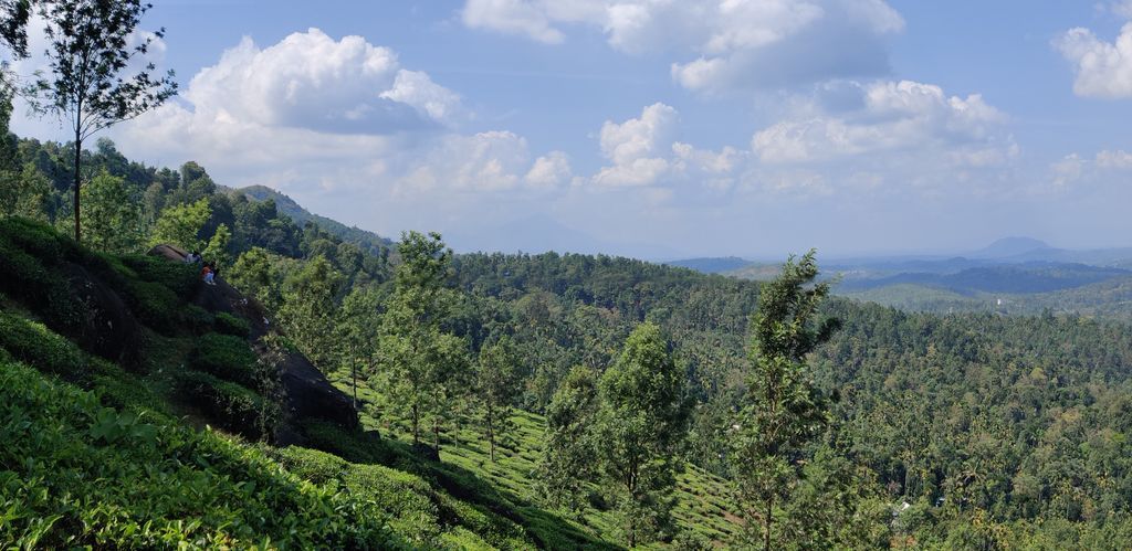 Wayanad — photo 2
