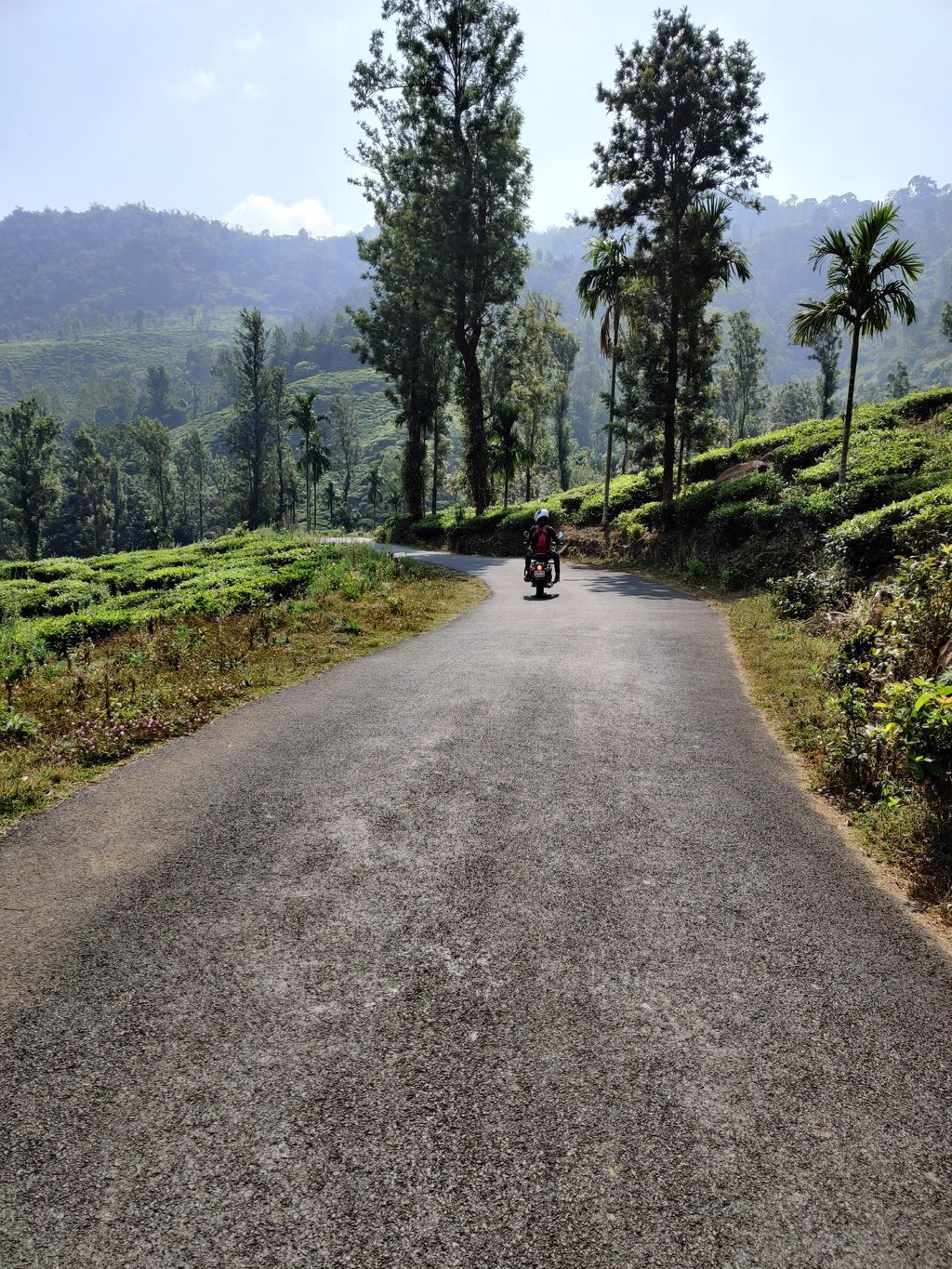 Wayanad — photo 3