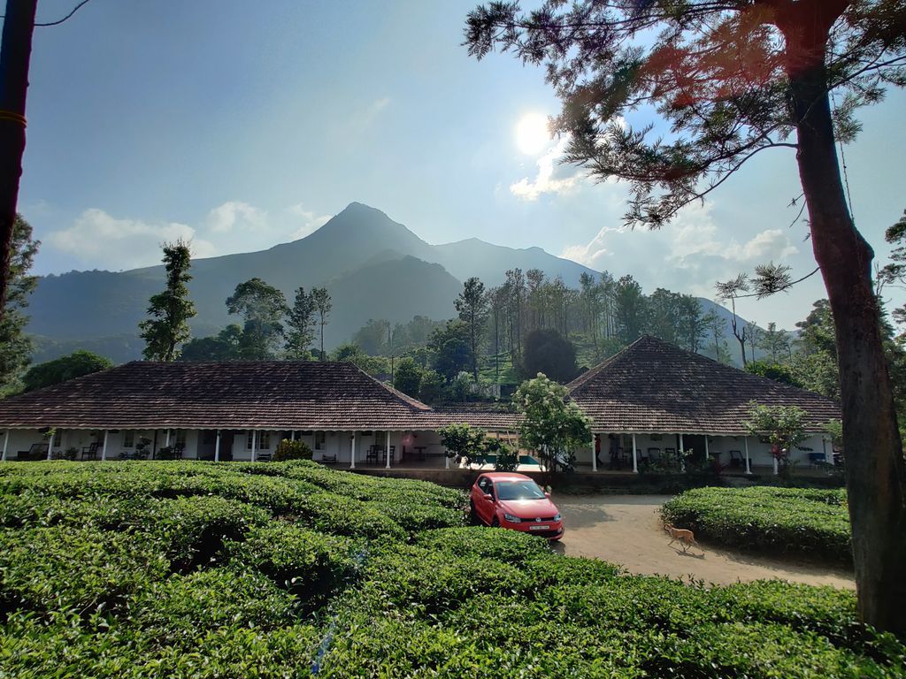 Wayanad — photo 6