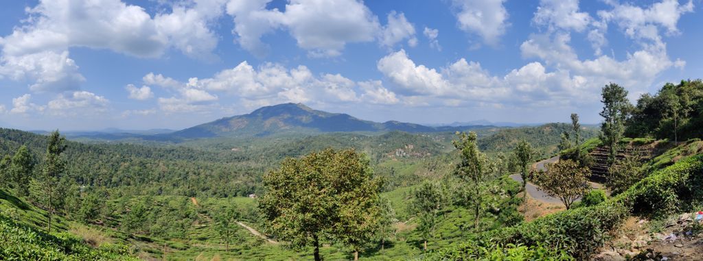 Wayanad — photo 16