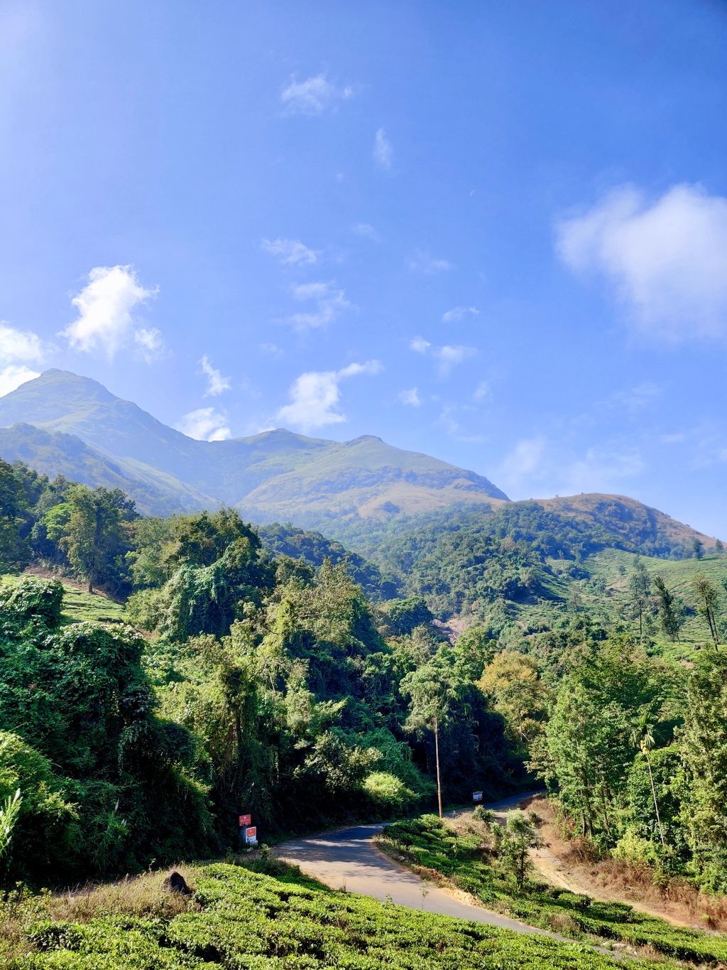 Wayanad — photo 19